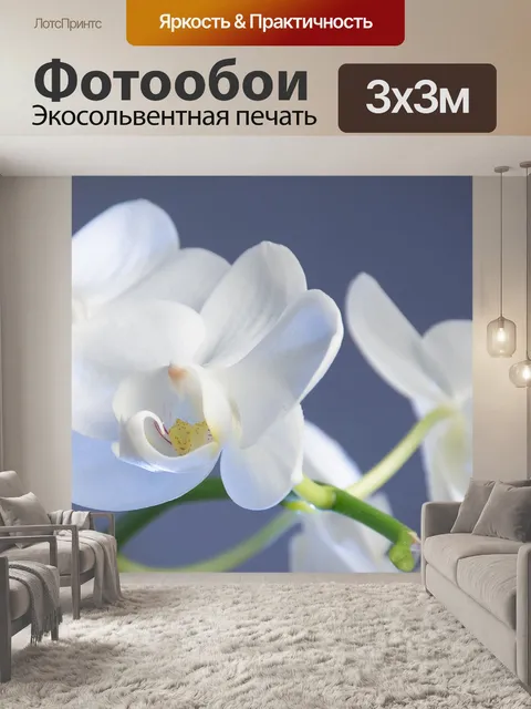 Фотообои Цветок