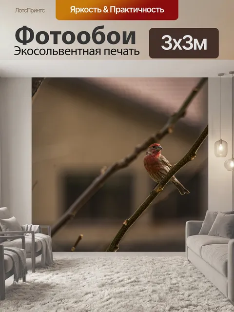 Фотообои Дом Финч