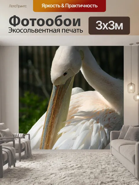 Фотообои Птица