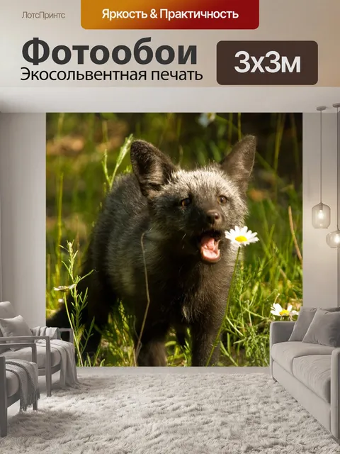 Фотообои Лиса