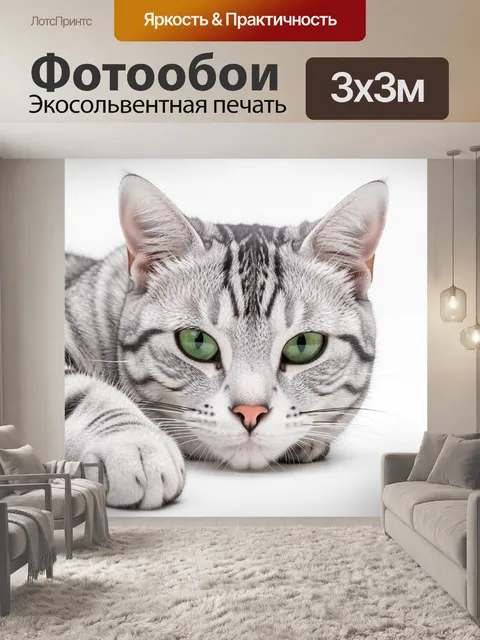 Фотообои Серебристый кот с зелёными глазами