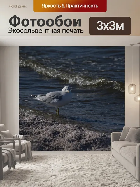 Фотообои Чайка на берегу