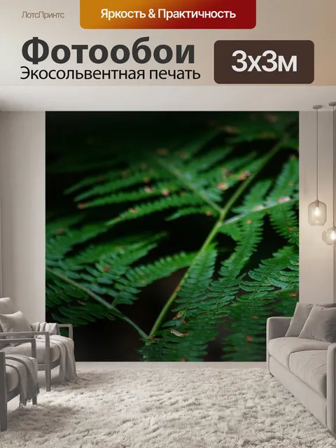 Фотообои Папоротник