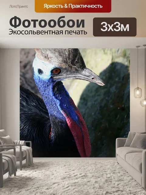 Фотообои Птица