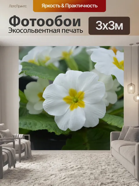 Фотообои Цветы