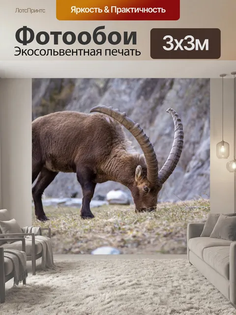Фотообои Дикий альпийский козерог