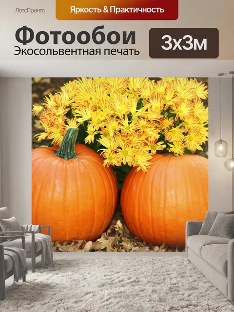 Фотообои Две тыквы и желтые мамы