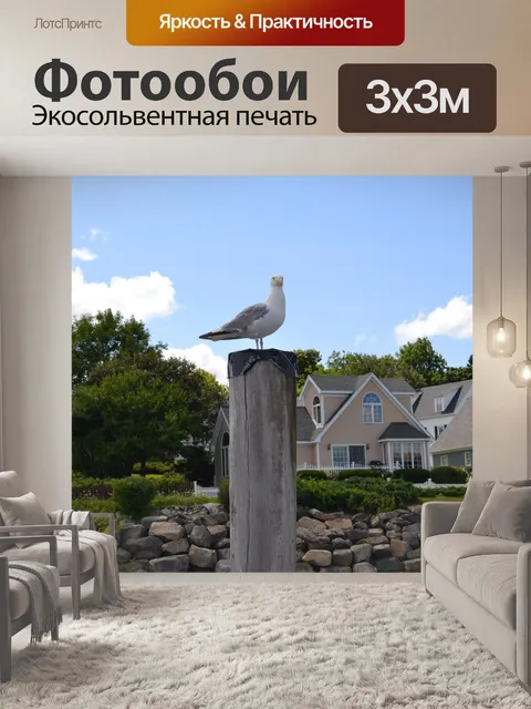 Фотообои Чайка