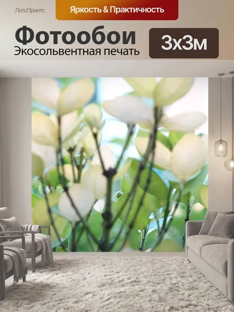 Фотообои Светло зеленый