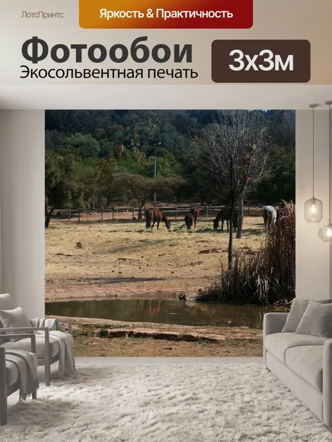 Фотообои Лошади пасутся зимой с прудом