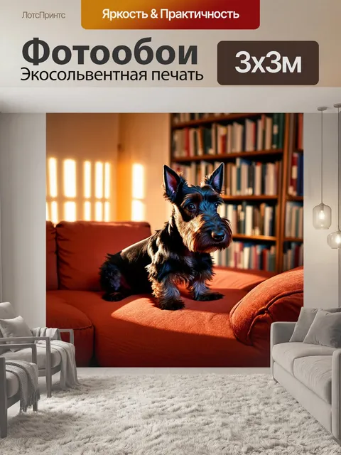 Фотообои шотландский терьер, уютно устроившийся на диване в комнате с книгами, в свете тёплого заката