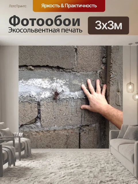 Фотообои Тарантул