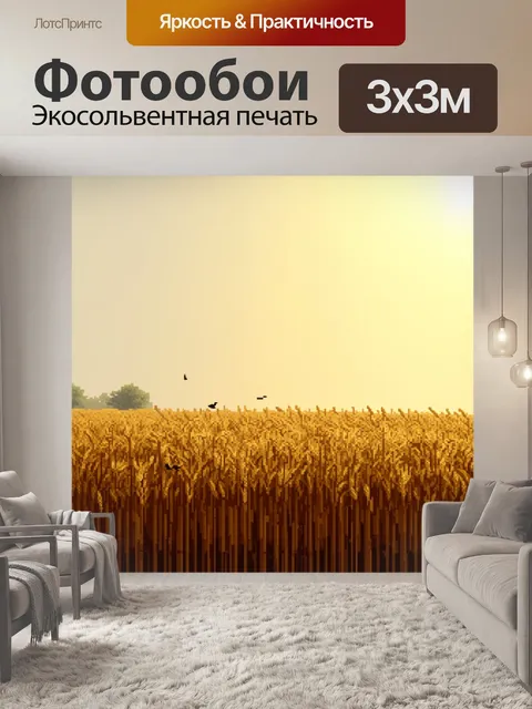 Фотообои утро: фермерское поле с ржаным золотом под первыми лучами солнца