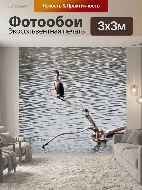 Фотообои Баклан на бесплодных Отрасли