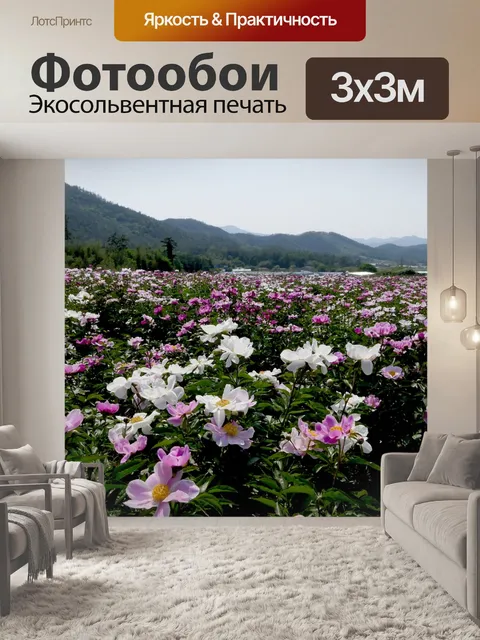 Фотообои Пион