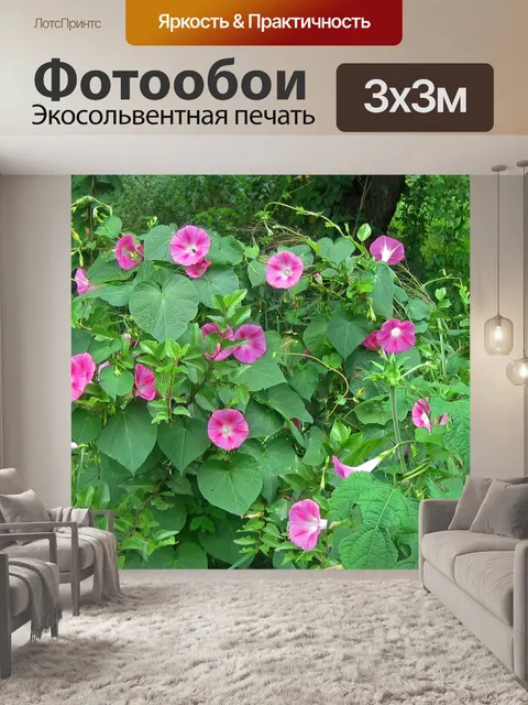 Фотообои Патч розовой утренней славы