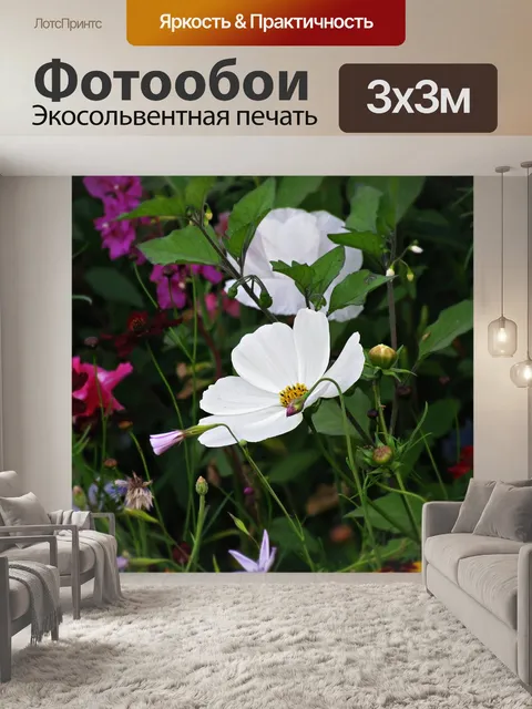 Фотообои Цветок