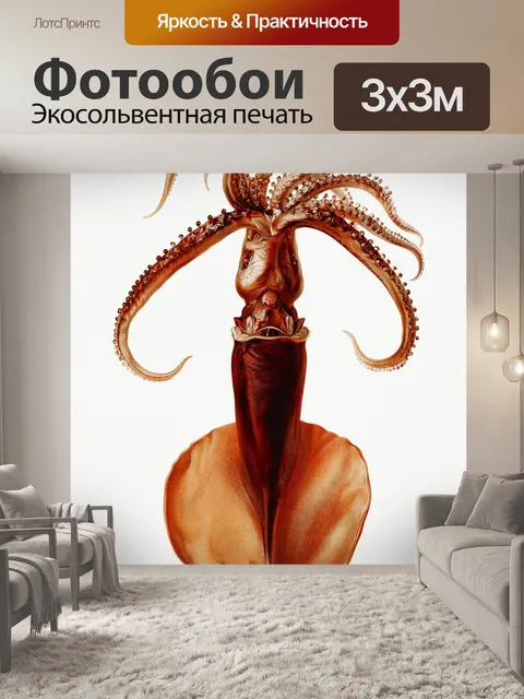 Фотообои Кальмар Octopus Octopus Vintage