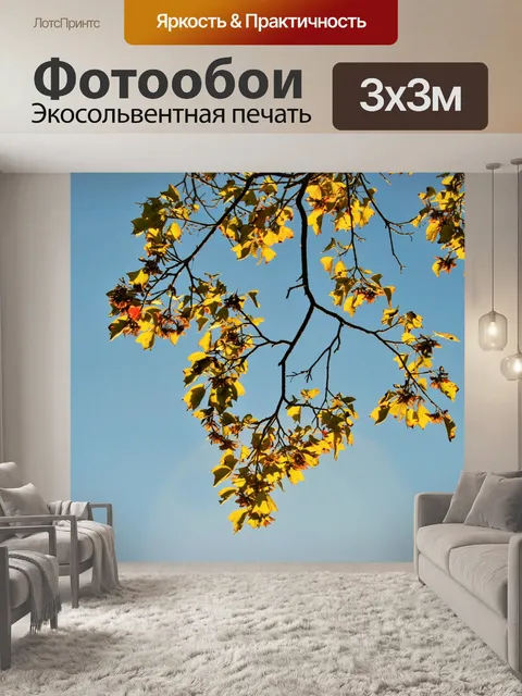 Фотообои свет на изменения листья