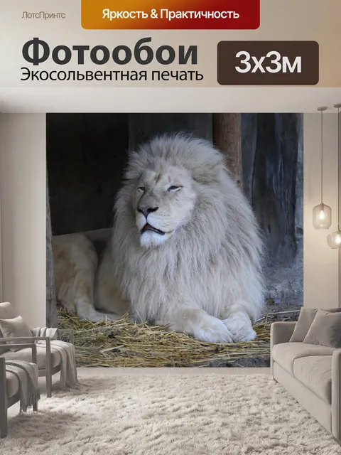 Фотообои Белый лев