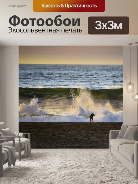 Фотообои Собака на пляже