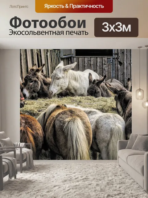 Фотообои Животные