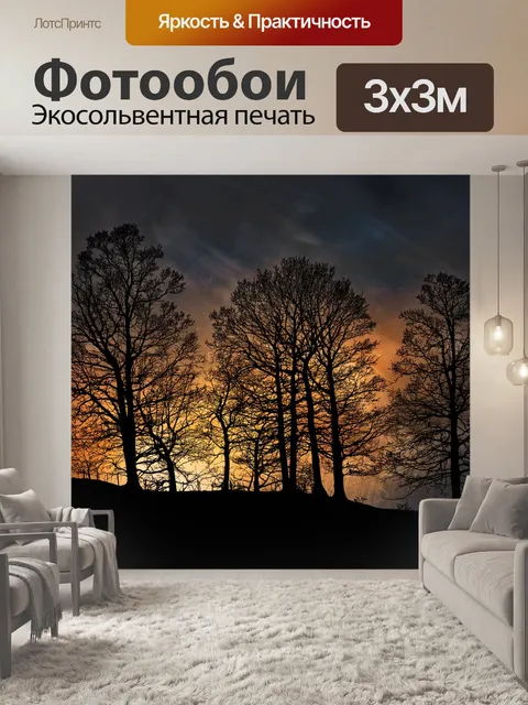 Фотообои Лес