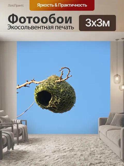 Фотообои Завершено гнездо ткача на ветке