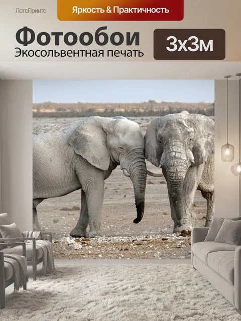 Фотообои Слон