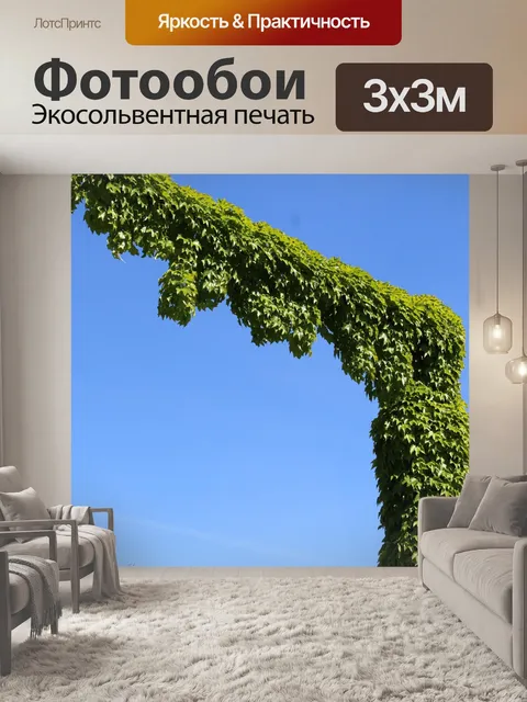 Фотообои Плющ