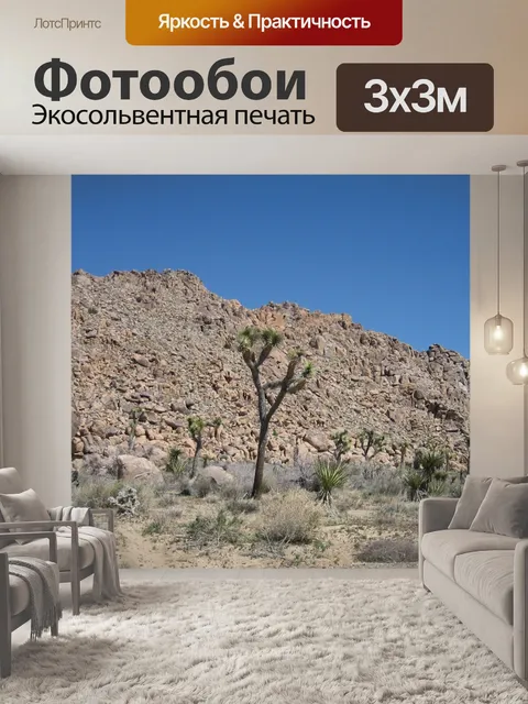 Фотообои Джошуа Деревья