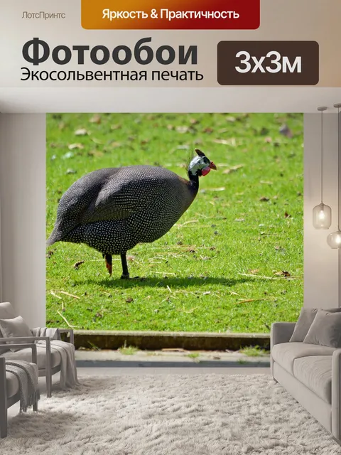 Фотообои Турция