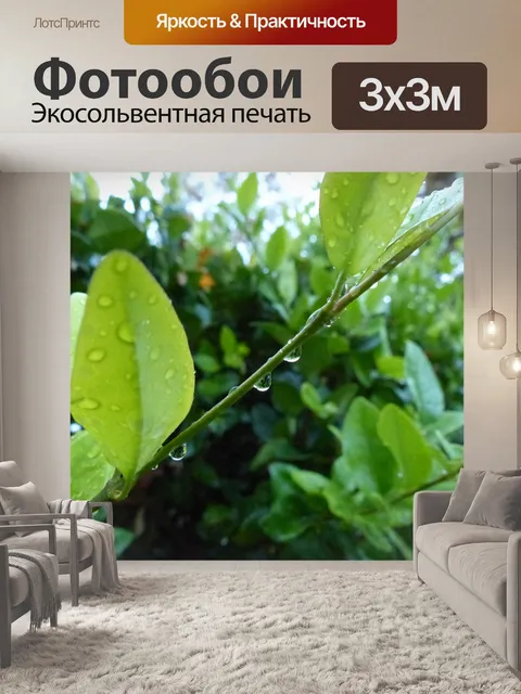 Фотообои Капли дождя на зеленом
