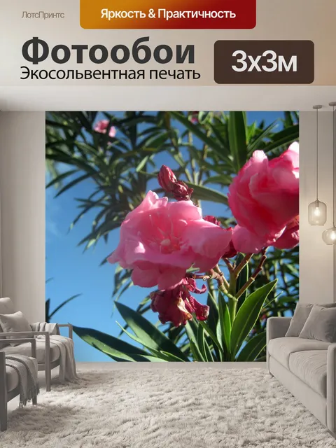 Фотообои розовый цветок 1