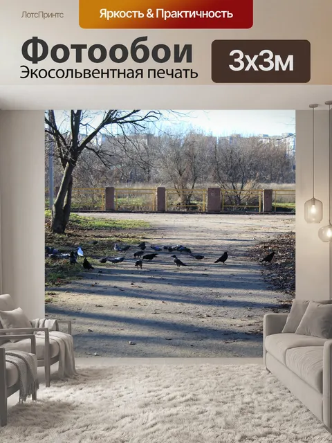 Фотообои Парк