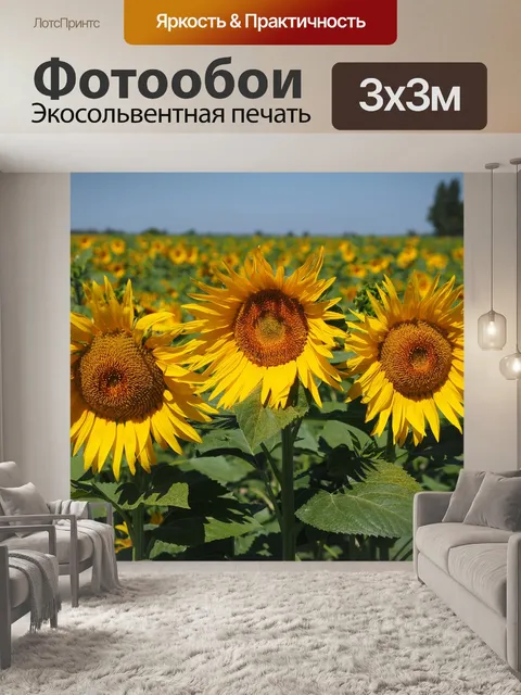 Фотообои Подсолнухи