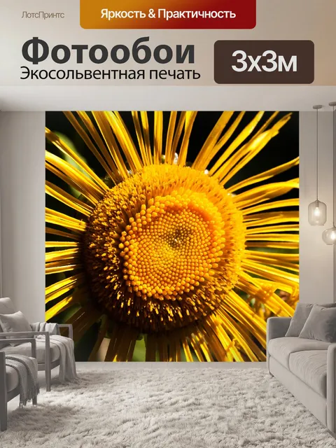 Фотообои Alant