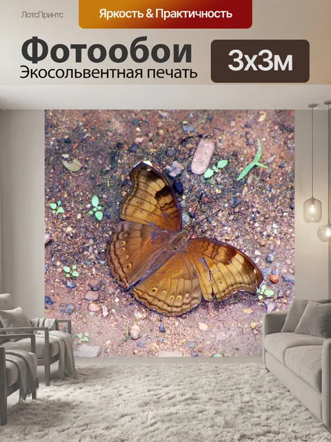 Фотообои Бабочка