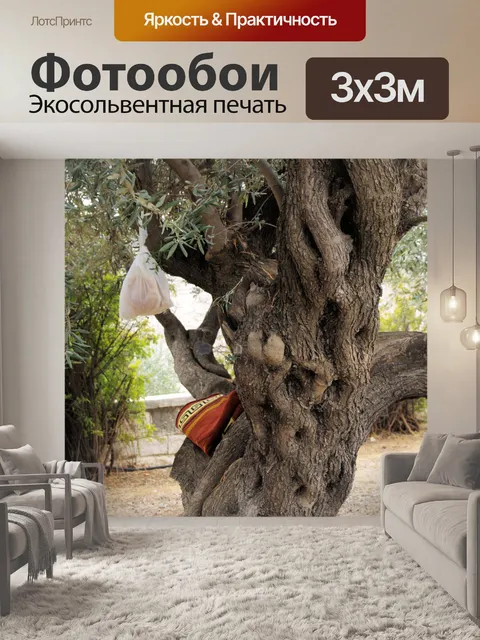 Фотообои Обед в корявом оливковом дереве