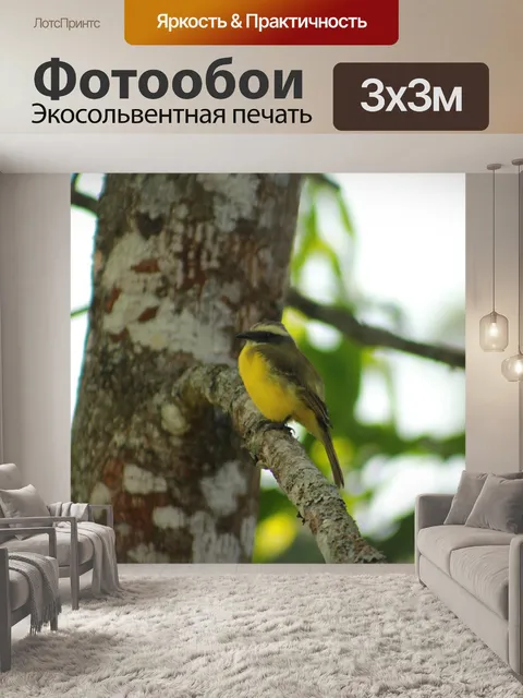 Фотообои Птицы