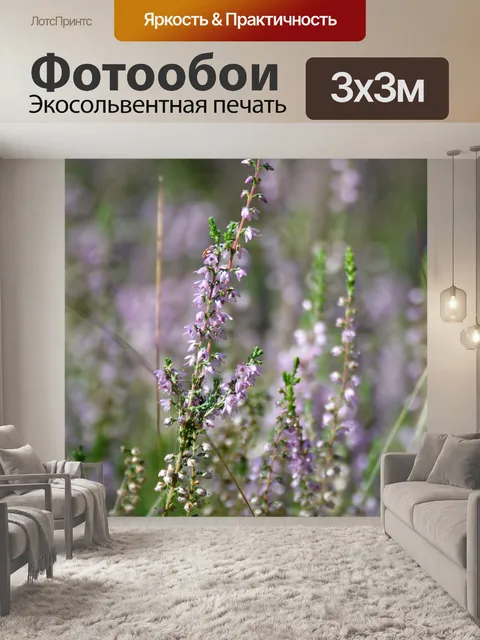 Фотообои Вереск
