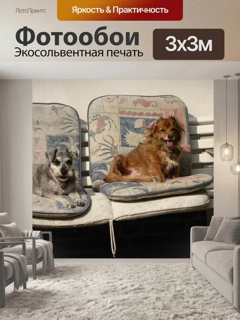 Фотообои Собаки