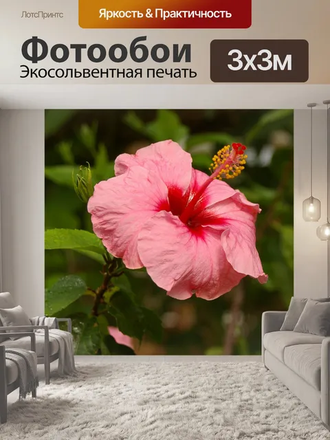 Фотообои Экзотика