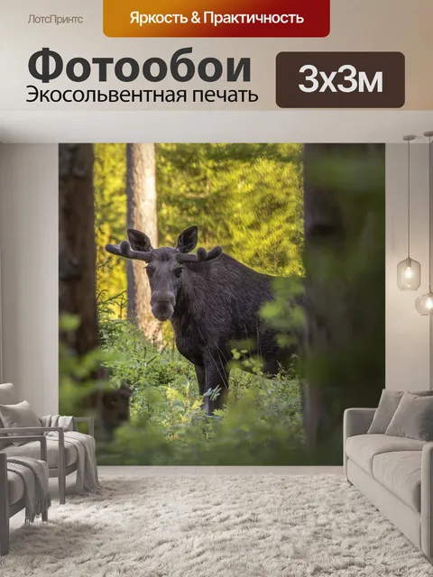 Фотообои Лось