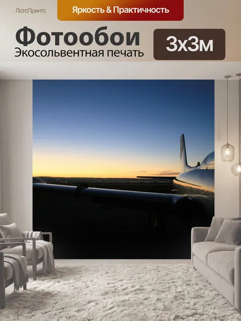 Фотообои крыло импала на заре