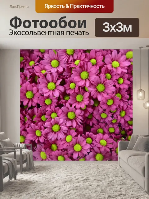 Фотообои Хризантема