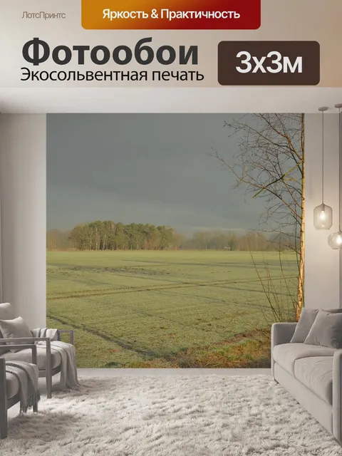 Фотообои Туман