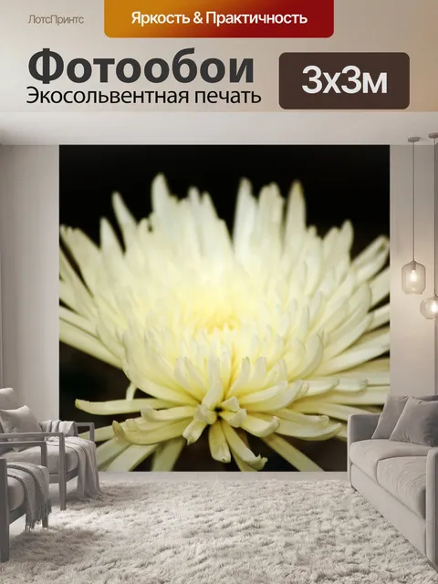 Фотообои белые георгины