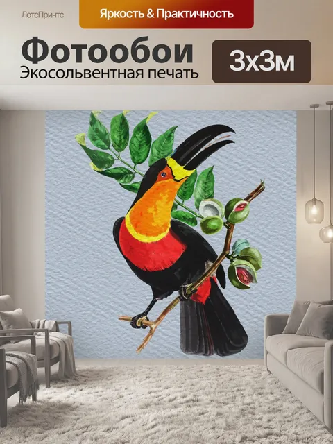 Фотообои Тукан Акварельная живопись
