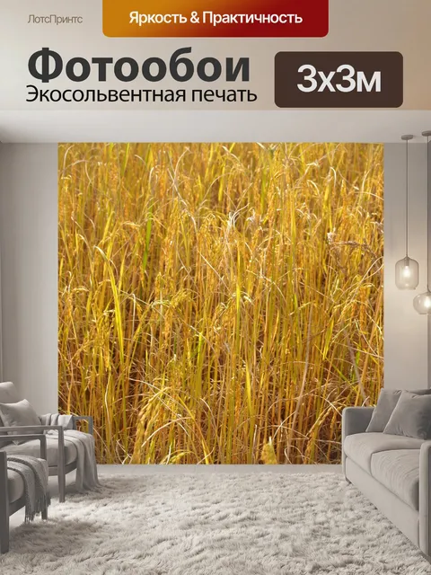 Фотообои Зрелый урожай золотого риса